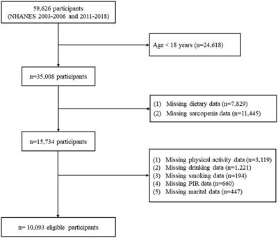 The inverse associations between composite-dietary-antioxidant-index and sarcopenia risk in US adults